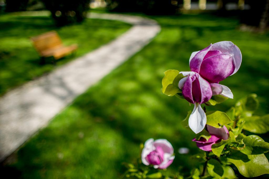Hotel Batthyány Kúria Zalacsány Esterno foto